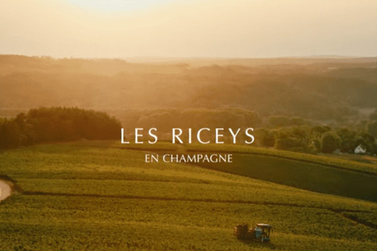 les riceys en champagne