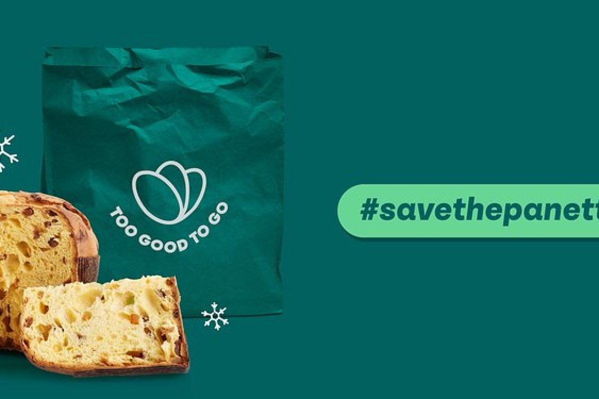 save the panettone